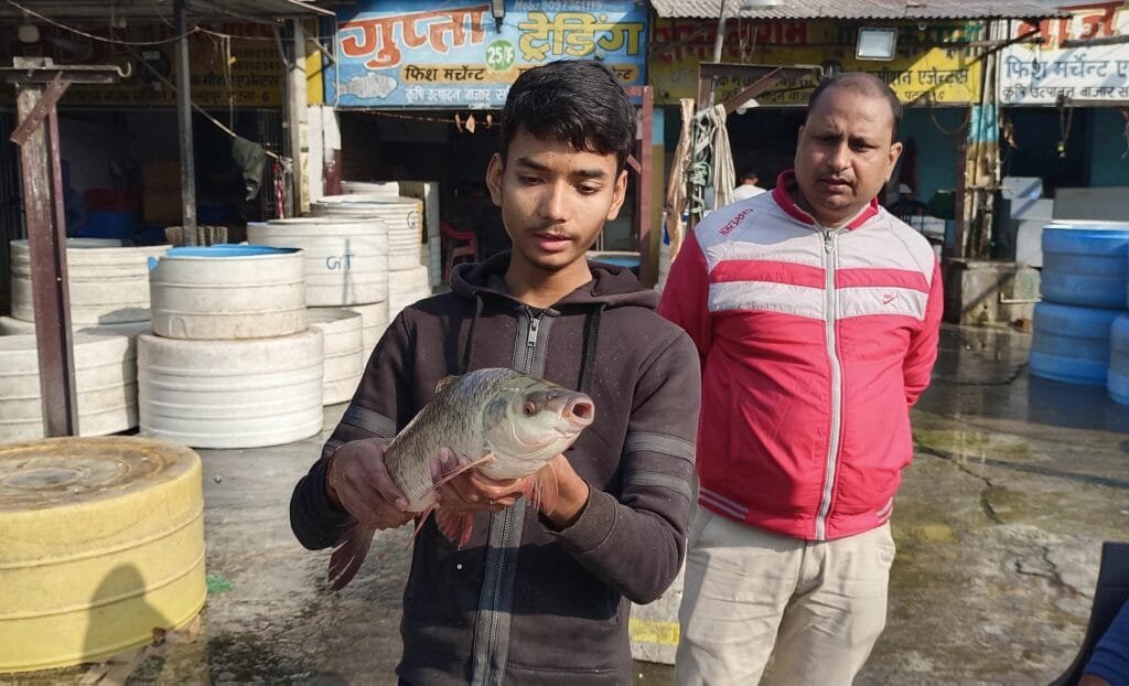 Patna Bazaar Samiti Fish Market