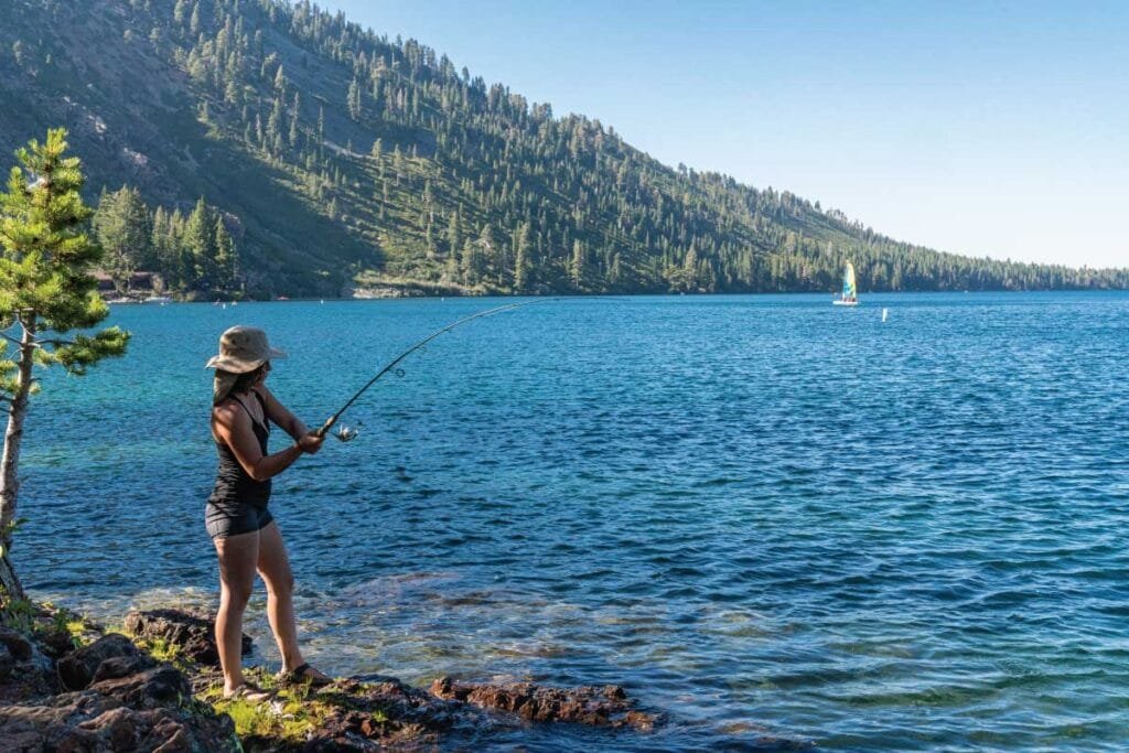 Fish in America