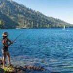 Fish in America