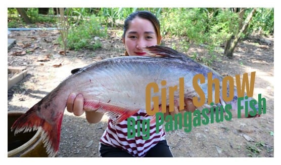 Pangasius Fish