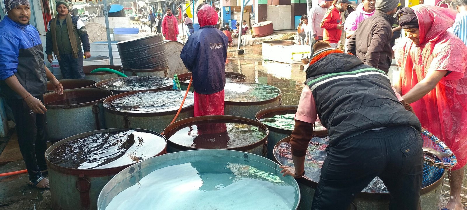 Patna Bazaar Samiti wholesale fish market
