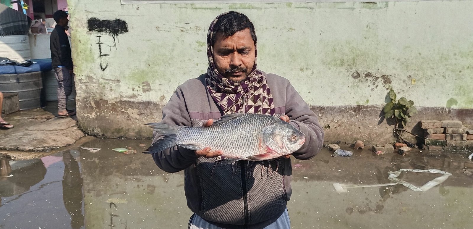 Catla fish showcased by vendor Mr. Sanjay Sahani at the Patna Bihar Bazaar Samiti wholesale fish market.