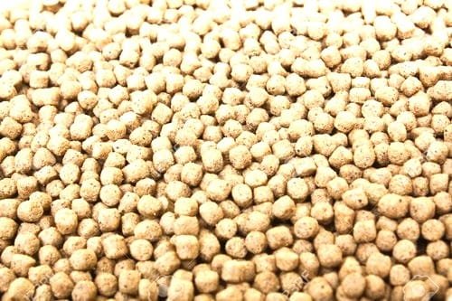 floating fish feed